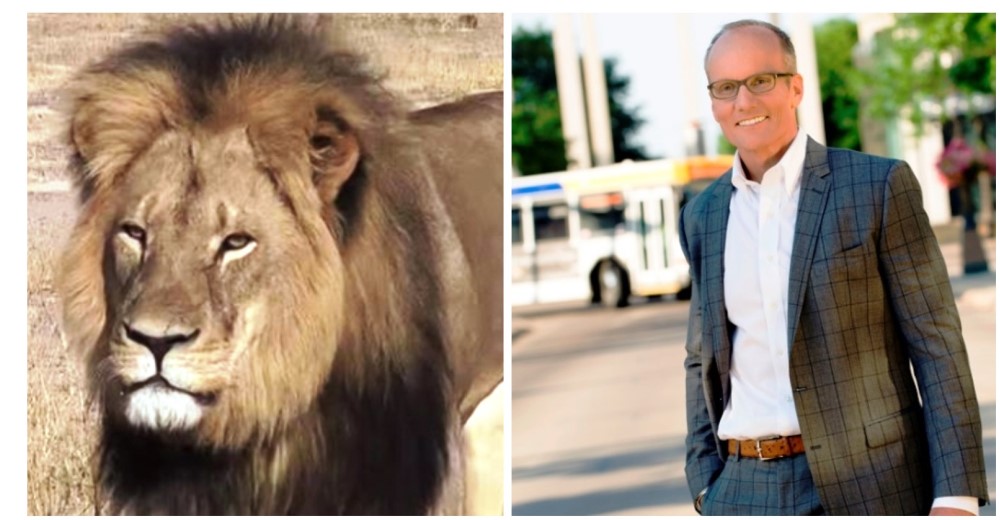 El cazador que acabó con la vida de Cecil fue identificado: es estadounidense y dentista