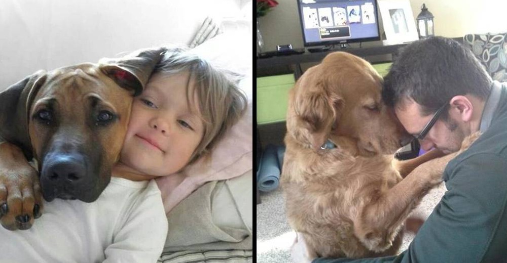 19 imágenes que prueban que los perros son parte de la familia