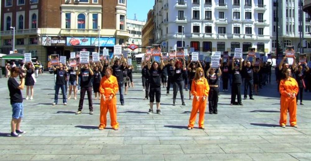 El Colegio de Abogados de Madrid crea una sección de Derecho Animal