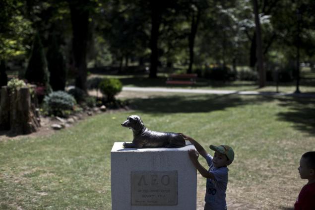 perro muere salvando niña 1