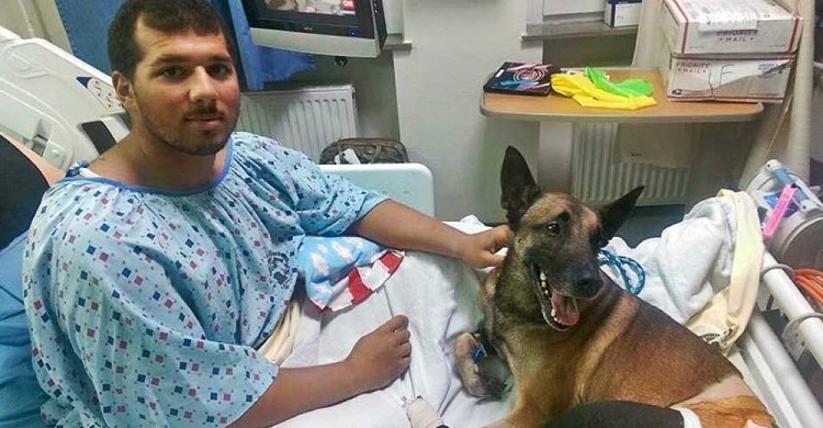 Militar y Perro hospitalizados juntos 1