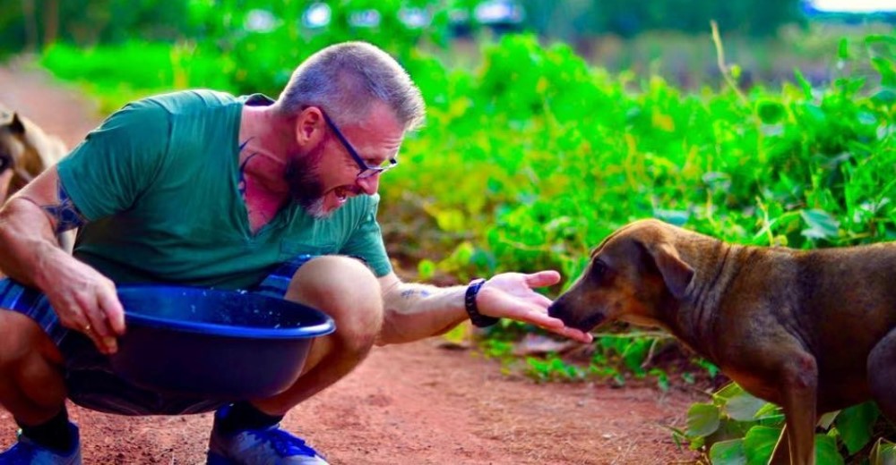 Héroe – Michael, el hombre que alimenta 80 perros al día en Tailandia