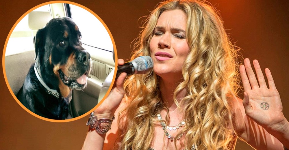 La cantante Joss Stone canceló su gira por El Caribe por una razón admirable…