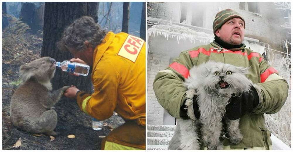 Más que héroes – Bomberos que además de apagar el fuego, salvan la vida de los animales