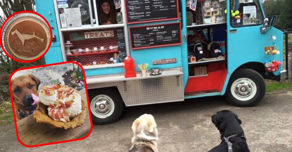 Grandioso – En esta ciudad se pasea un camión de comida para los consentidos de la casa