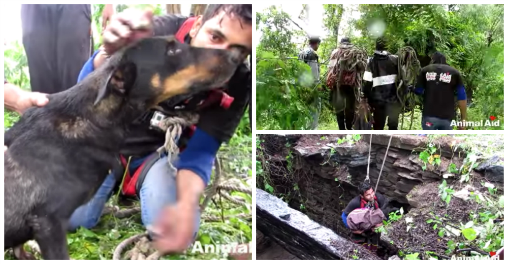 El asombroso rescate de Ruby, la perrita que cayó en un pozo de más de 30 metros de profundidad