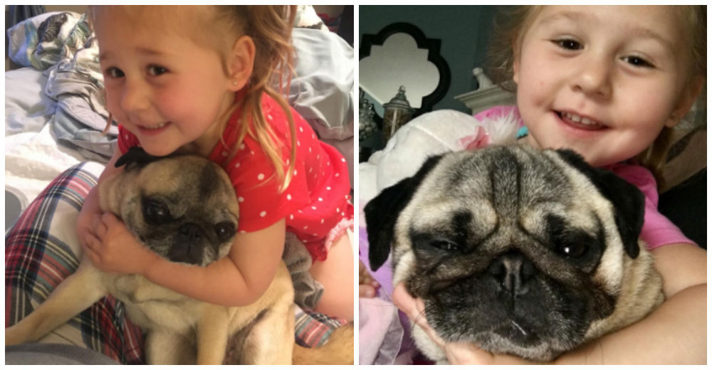 La maravillosa amistad entre una niña de 2 años y sus tres hermosos pugs