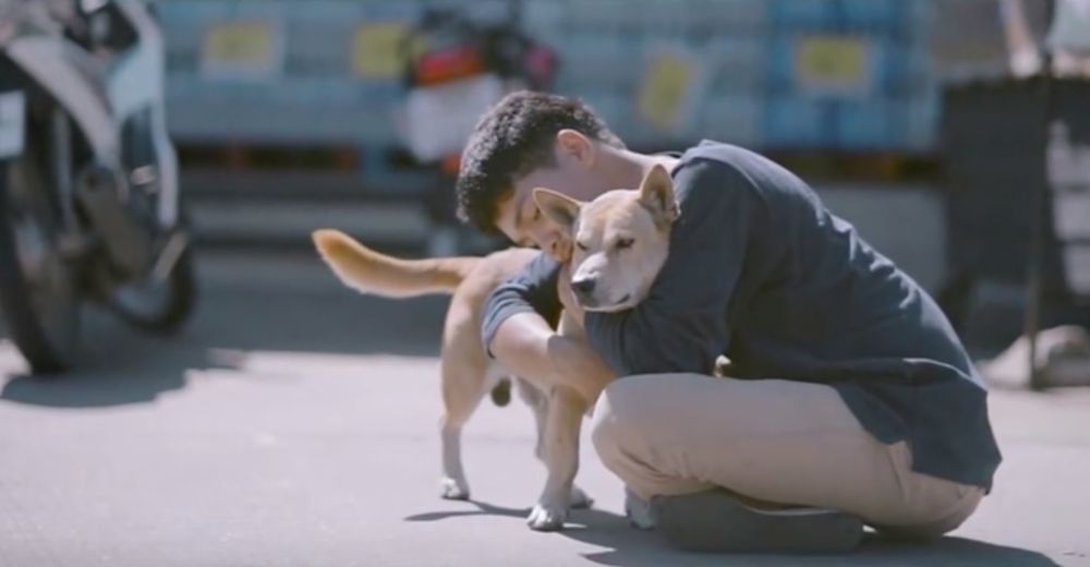 ¿Qué sucede cuando un perro callejero recibe un abrazo?