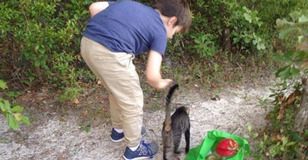 Padre e hijo encuentran una inesperada sorpresa al ir de campamento