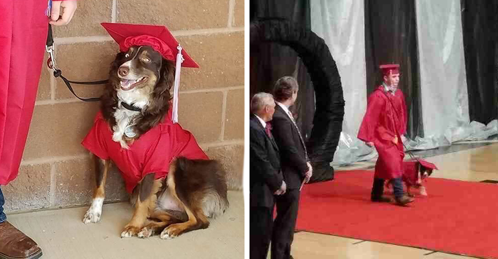 La increíble historia del chico que se graduó junto al perro que salvó su vida