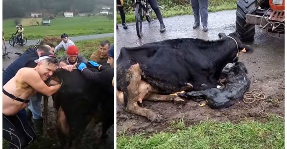 Estos ciclistas jamás pensaron que terminarían su paseo salvando a una futura madre en apuros