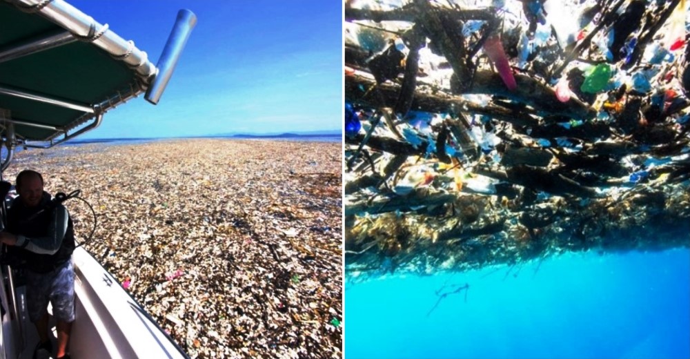 Sobrecogedoras imágenes muestran un «mar de plástico» en islas caribeñas