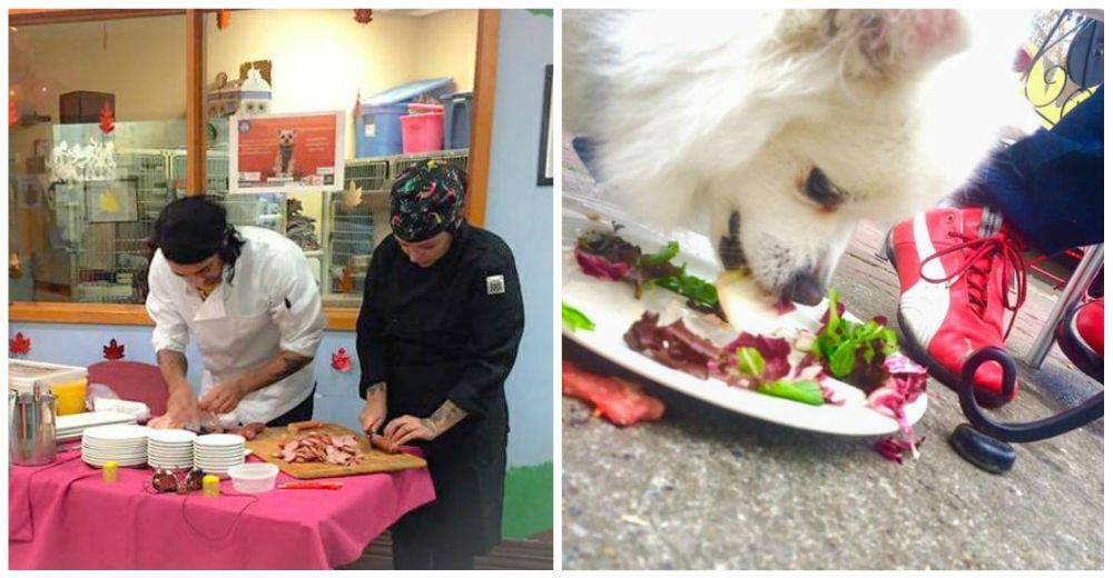 Un chef hace una gran cena de acción de gracias para unos invitados «muy especiales»