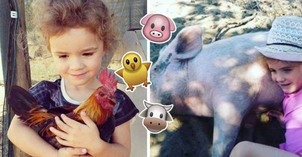 Estas tiernas niñas cuidan y alimentan a más de 100 animales de granja en su propio santuario