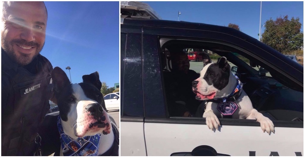 «Canino por un día», la iniciativa de la policía de Nebraska que ha movido corazones