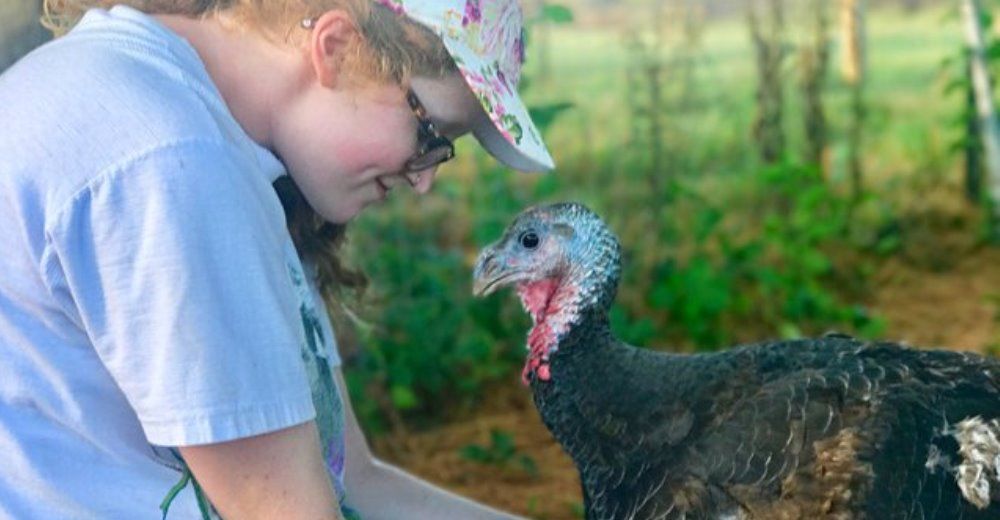 Este pavo fue rescatado antes de Acción de Gracias y ahora ama dar cariños a sus salvadores