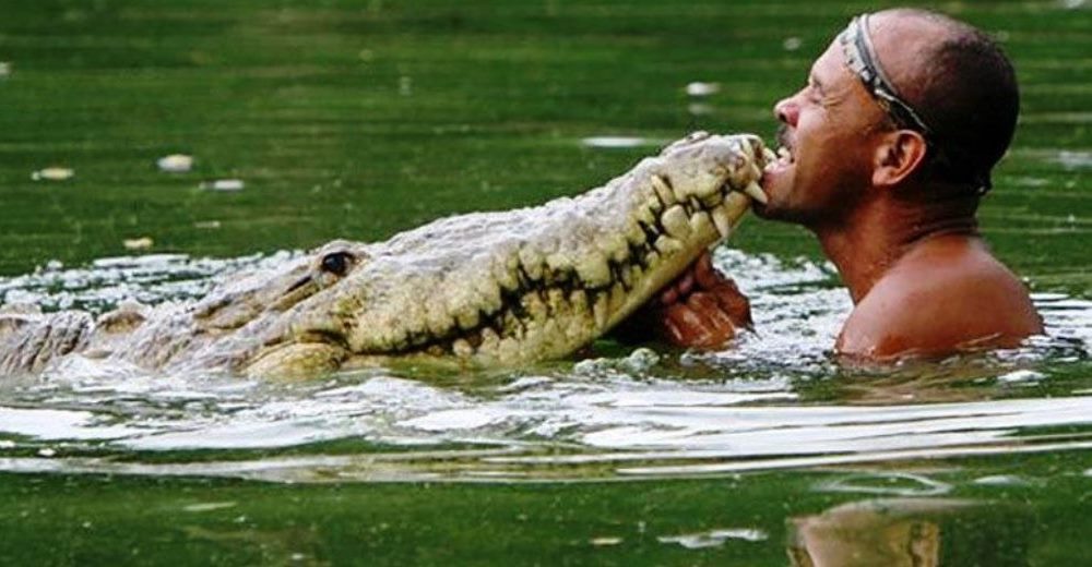 Pocho, un cocodrilo rescatado por un humilde pescador, que lo cuidó hasta sus últimos días