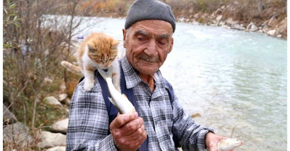 Este hombre jubilado tiene una sola pasión: llenar la barriga de los 35 gatos que cuida