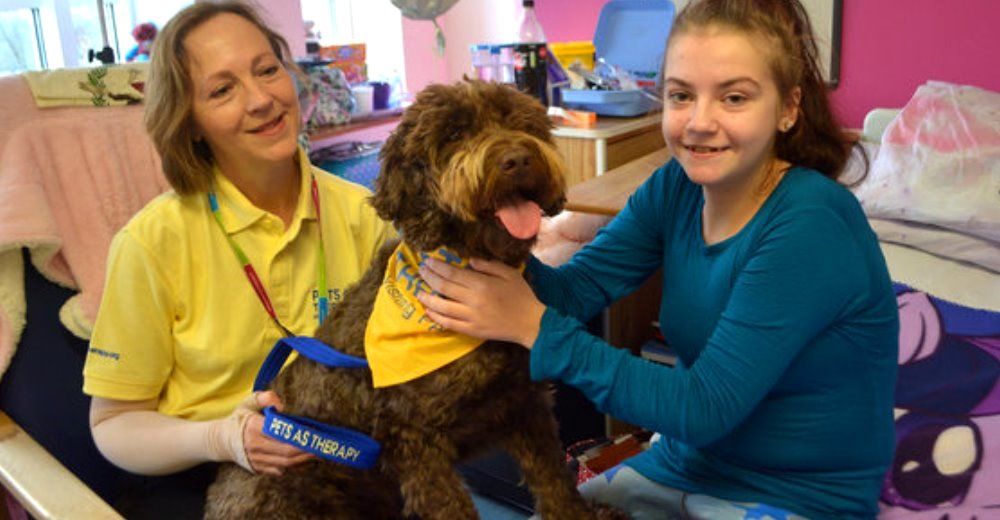 Rolo, el perrito a punto de morir, que debía quedarse en este mundo por una poderosa razón