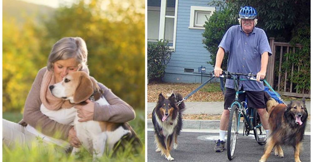 ¿Sabías que tener un perro puede mejorar sustancialmente tu salud y regalarte años de vida?