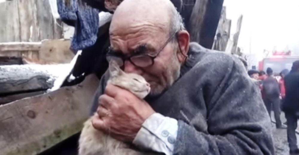 Graban a un desconsolado anciano aferrándose a su gato tras perderlo todo