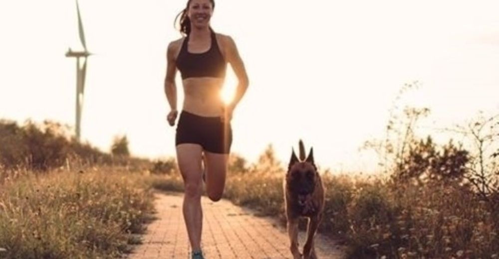 ¿Eres de los que ama caminar a diario? Hacerlo con tu perro es mucho mejor de lo que creías