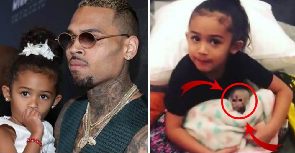 El cantante Chris Brown podría ir a la cárcel por posesión de una especie protegida