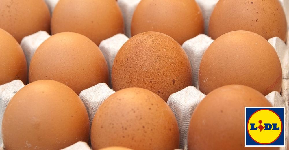 Lidl es la primera cadena de supermercados que se niega a vender huevos de gallinas enjauladas