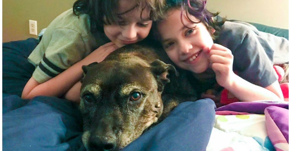 Unos niños adoptan una perrita con cáncer terminal para poder cumplir sus últimos sueños