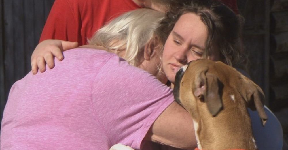 Un cachorro se convierte en el héroe del hogar tras salvar a toda su familia de un incendio