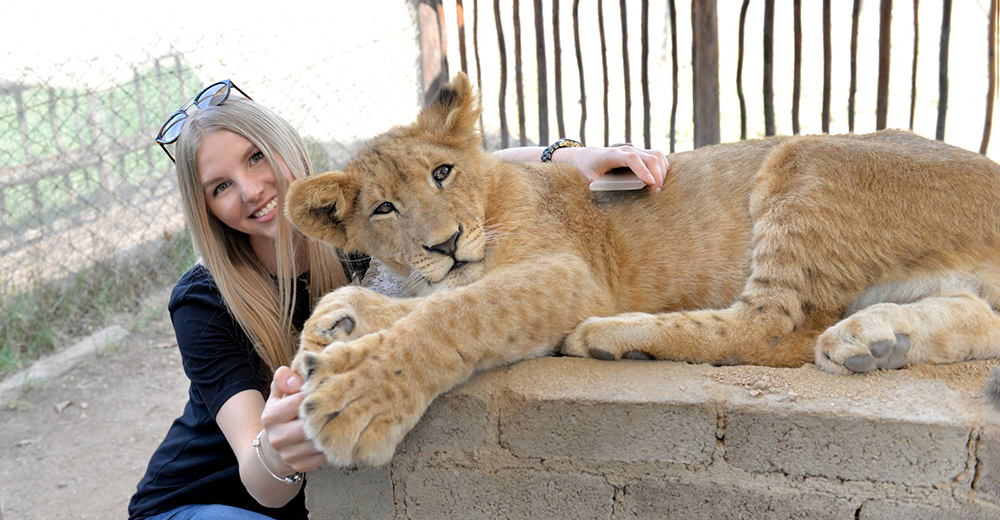 Las selfies con animales salvajes podrían pasar a considerarse maltrato animal – Alarmante