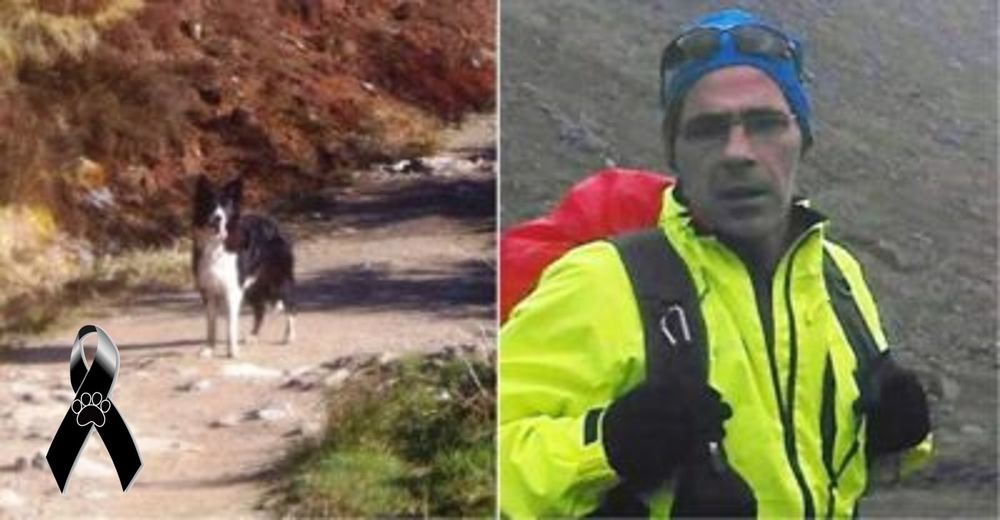 Tiene que elegir entre vivir o morir con su perro y decide abandonarlo en la montaña helada