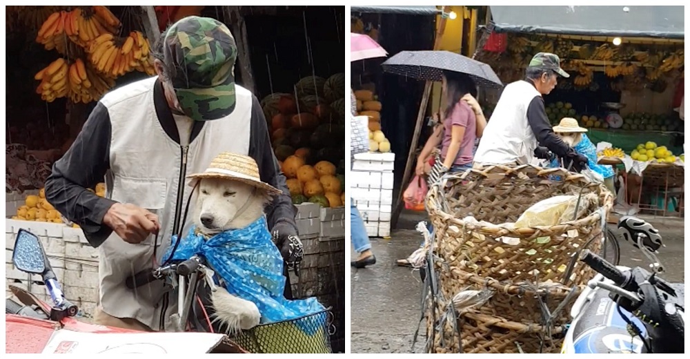 Las redes mueren de amor con este adorable abuelo protegiendo a su perro de la lluvia