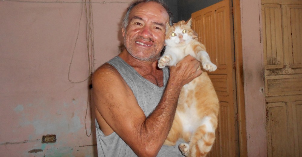 Más de 80 animales de un refugio dependen de este humilde hombre, pero necesita un milagro