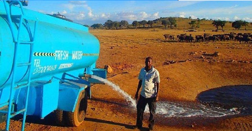 Este hombre sacrificó el agua que necesitaba para salvar la vida de cientos de animales salvajes