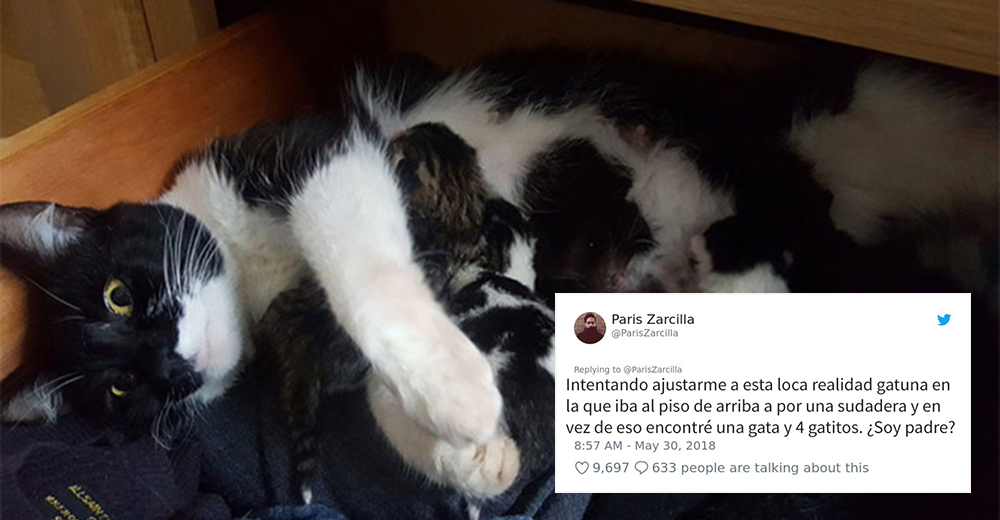 Un cineasta se lleva la mayor sorpresa al ver debajo de su cama – Su reacción se vuelve viral