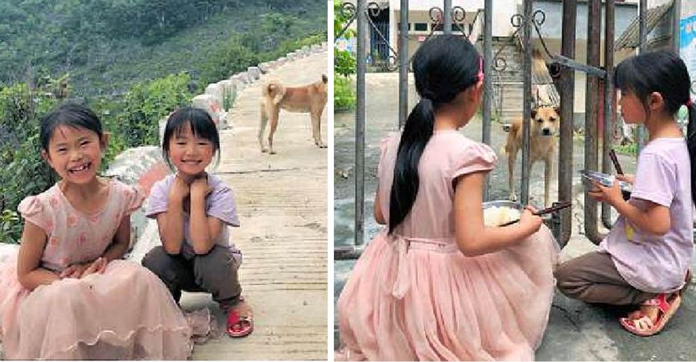 La conmovedora historia detrás del perro que espera todos los días frente a una escuela…