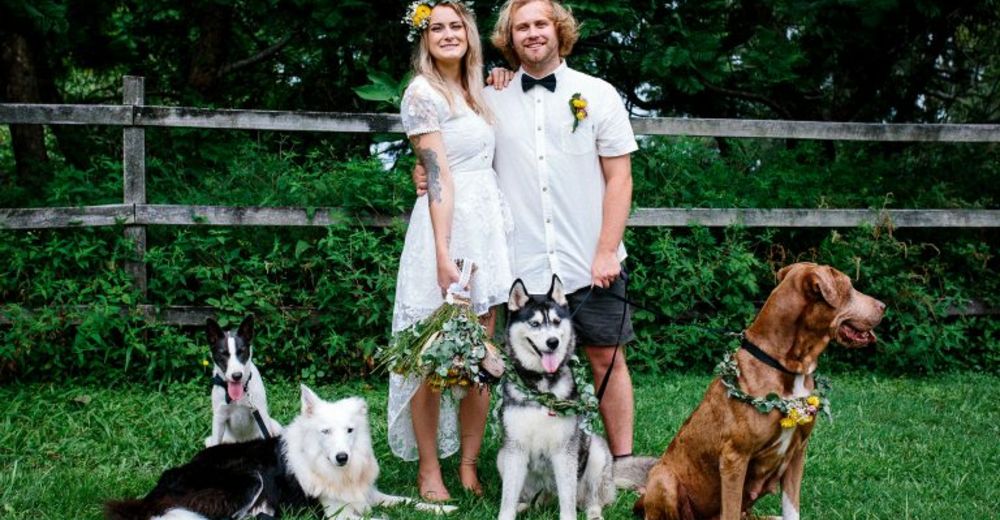 Permiten que su perro grabe su boda por una gran causa y el resultado es el mejor