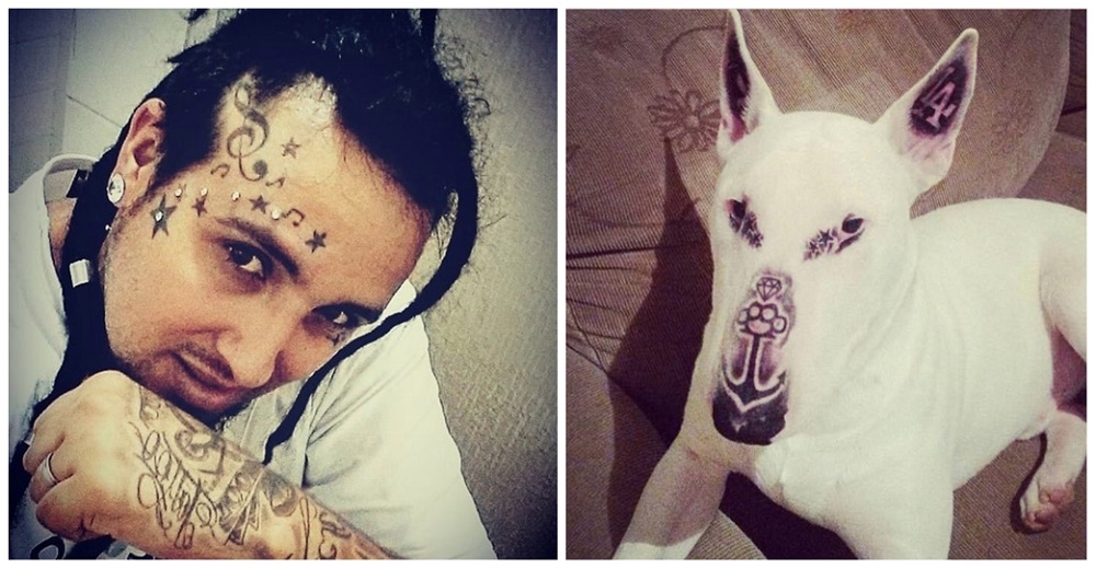 Muestra orgulloso los 5 tatuajes que le hizo en la cara a su perro y los veterinarios responden