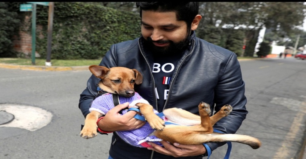 Fan del fútbol regresa a Rusia para rescatar a una perrita de la calle que conoció en el mundial