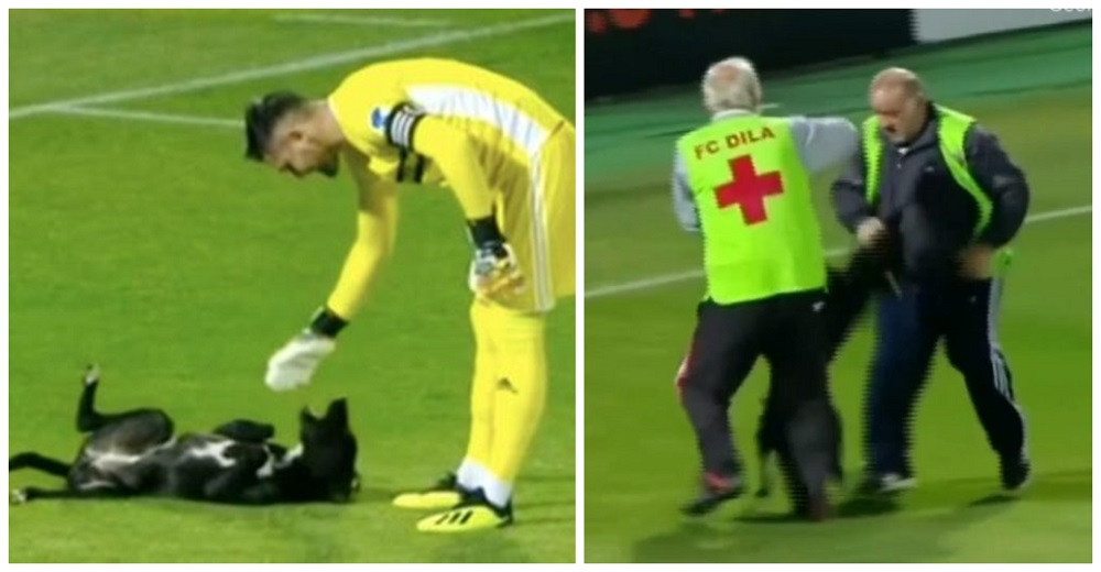 Invade el campo de fútbol para pedirle un masajito al portero y las autoridades reaccionan