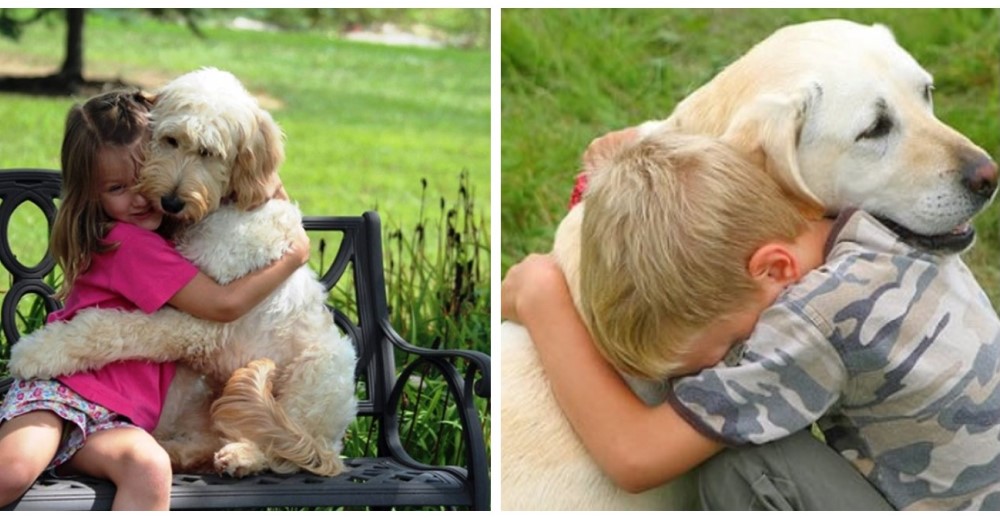 El vínculo que une a los perros y a sus dueños logra sincronizar hasta los latidos de su corazón