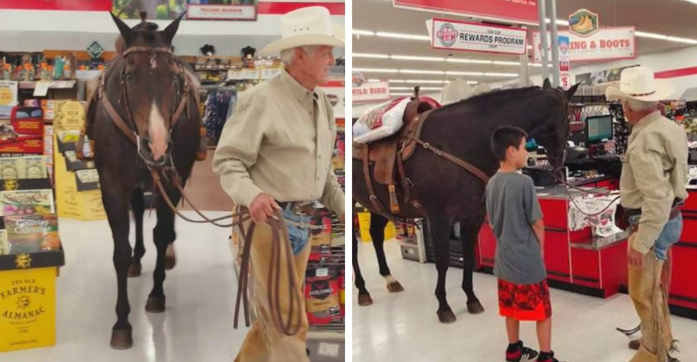 Un vaquero se rehúsa a ir de compras al supermercado sin su amado caballo