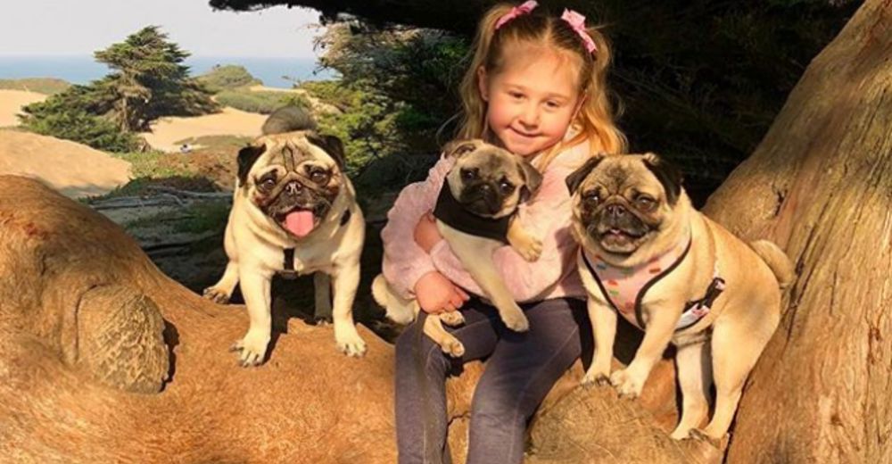 Kennedy, la pequeña que le dice las cosas más divertidas a sus Pugs