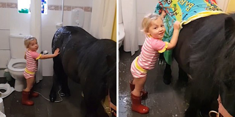 Vio a su pony muy sucio y decidió darle una ducha calentita en el baño de su casa