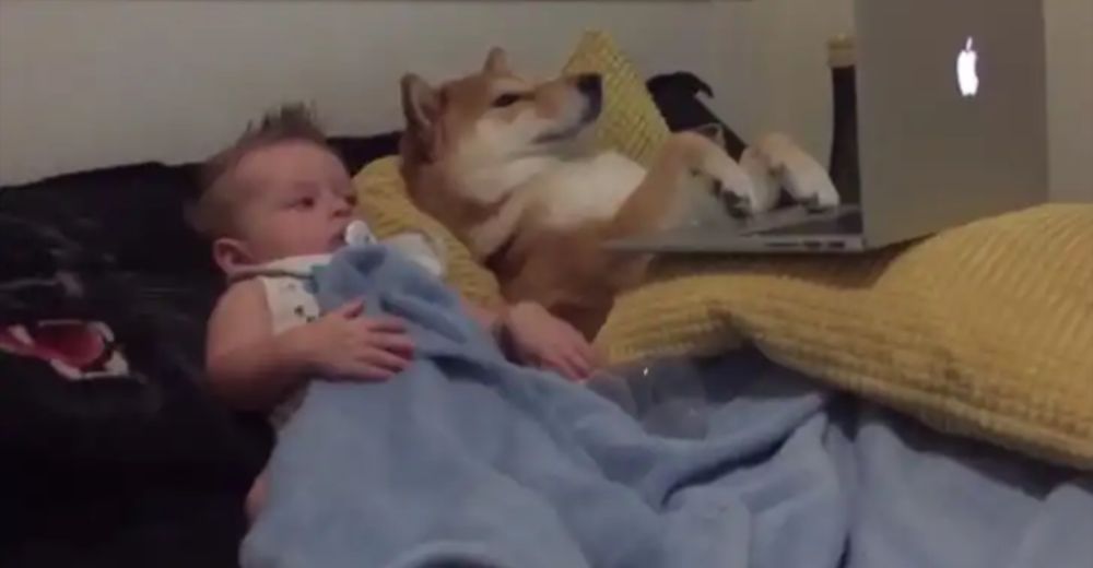 La tierna escena de un bebé y su perro acurrucándose juntos para ver sus caricaturas favoritas