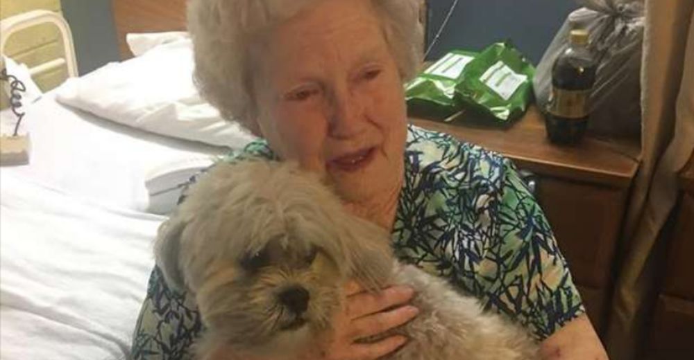 La emotiva reacción de una abuela que tras perderlo todo recibe el mejor regalo de su vida