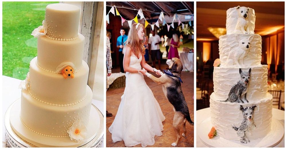 Estas parejas lograron incluír a sus mascotas en toda su boda y el resultado es adorable