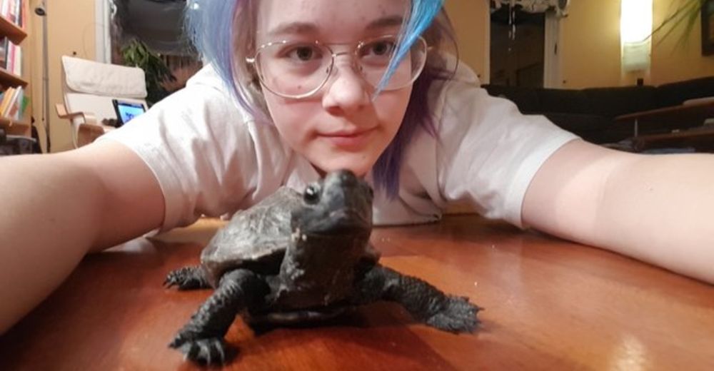 Nisse, la inseparable tortuga que ha permanecido 10 años con su dueña… Y cree que es un perro