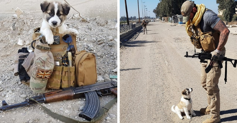 El emocionante reencuentro del soldado con la perrita que rescató de los escombros de la guerra